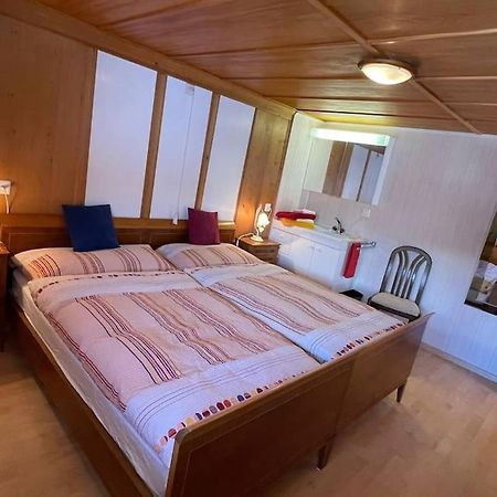 Apartment Chalet Im Sunnigen Usblick Wengen Exteriér fotografie
